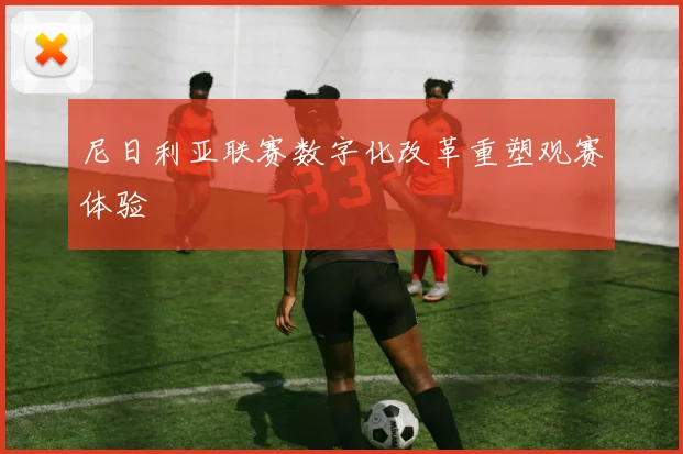 尼日利亚联赛数字化改革重塑观赛体验
