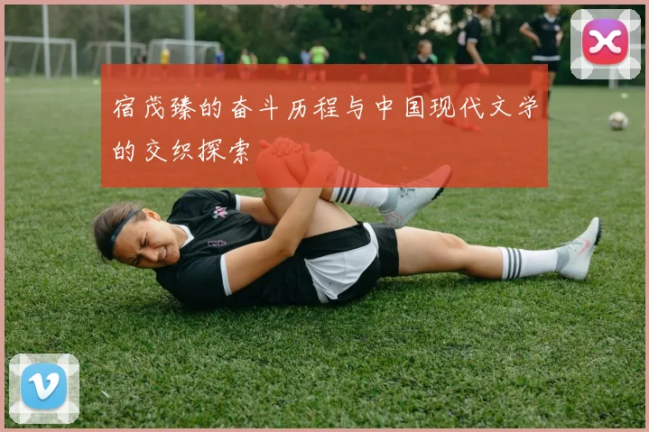 宿茂臻的奋斗历程与中国现代文学的交织探索