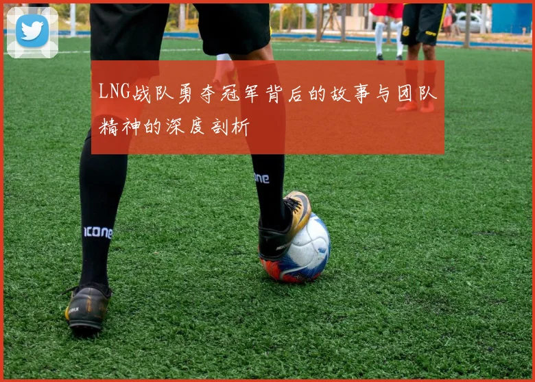 LNG战队勇夺冠军背后的故事与团队精神的深度剖析