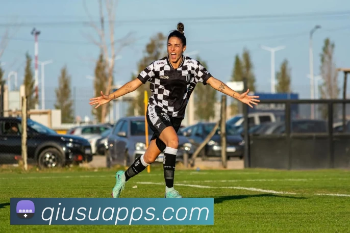 球速体育平台生态图